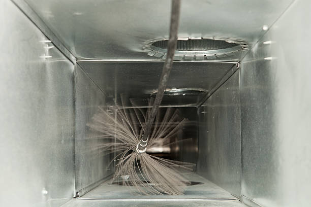 Air Duct Mold Removal in Stansbury Park, UT