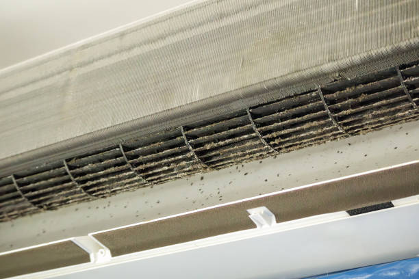 Best Air Duct Mold Removal  in Stansbury Park, UT